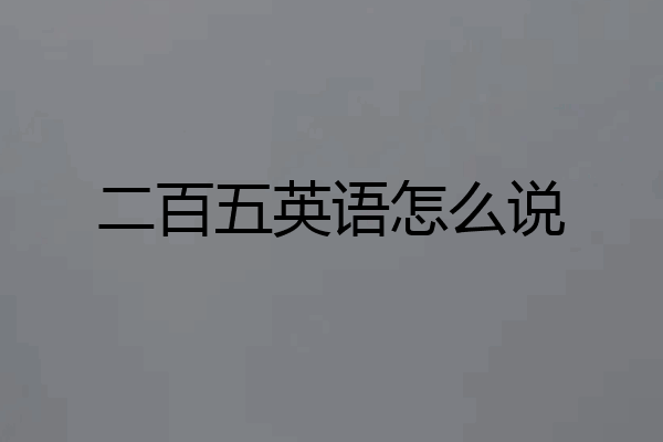 二百五英语怎么说