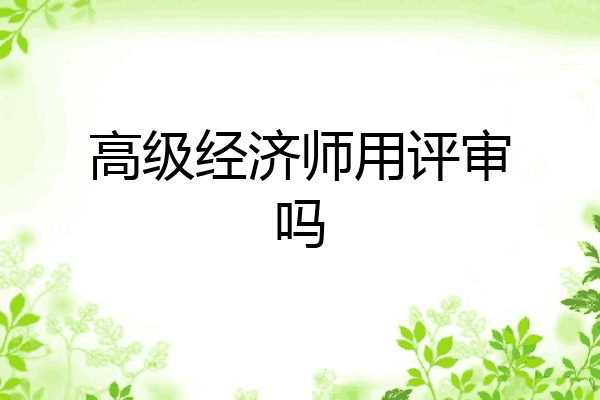 高级经济师用评审吗