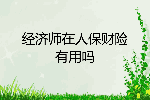 经济师在人保财险有用吗