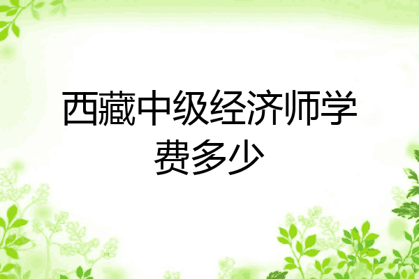 西藏中级经济师学费多少