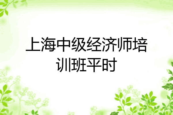 上海中级经济师培训班平时
