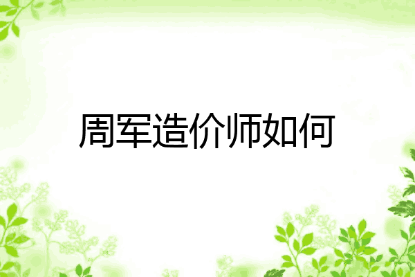 周军造价师如何