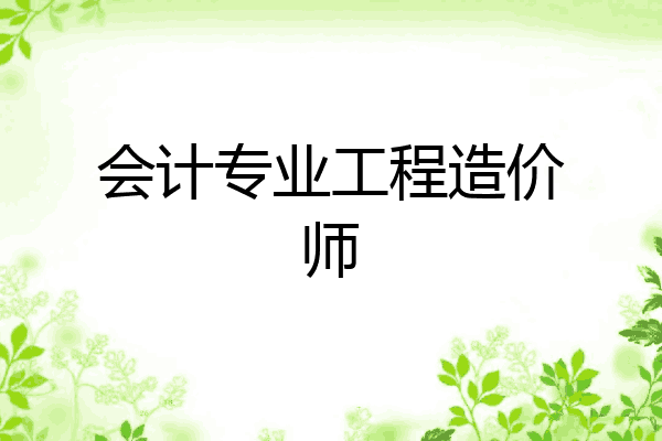 会计专业工程造价师