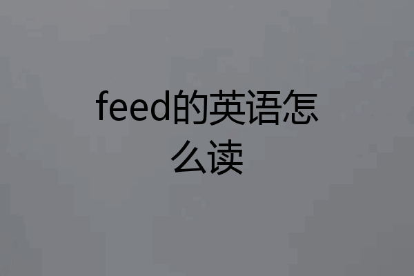 feed的英语怎么读