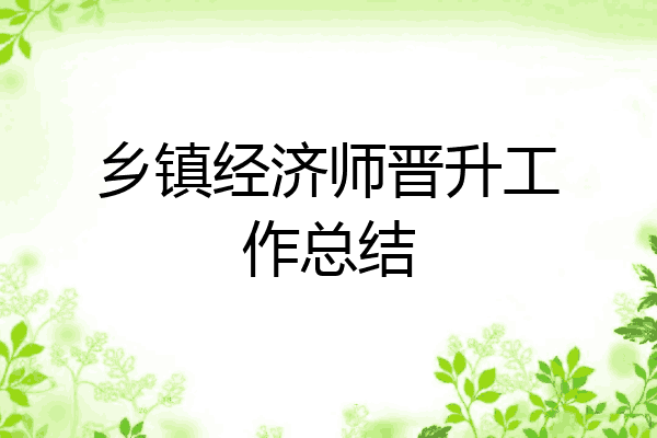 乡镇经济师晋升工作总结