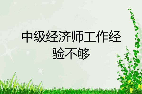 中级经济师工作经验不够