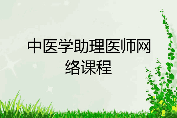 中医学助理医师网络课程