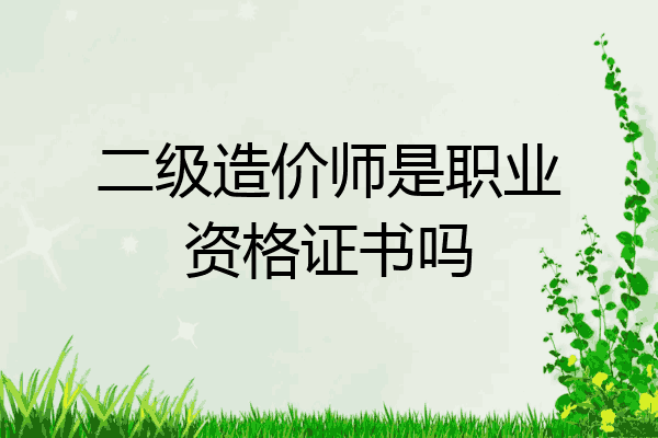 二级造价师是职业资格证书吗