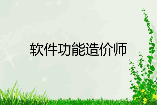 软件功能造价师