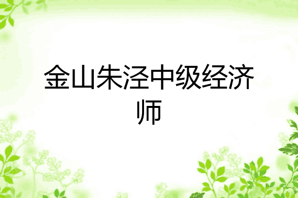 金山朱泾中级经济师