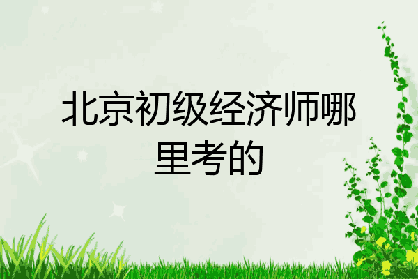北京初级经济师哪里考的