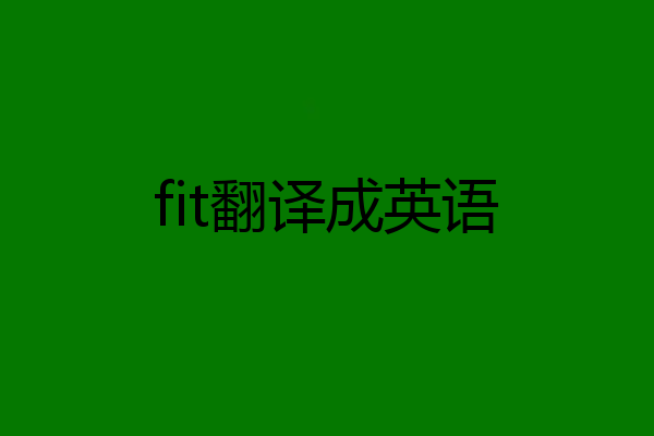 fit翻译成英语