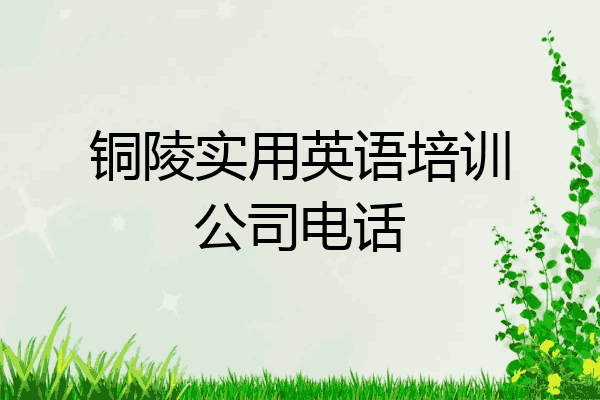 铜陵实用英语培训公司电话