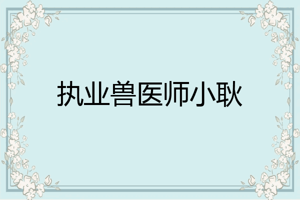 执业兽医师小耿