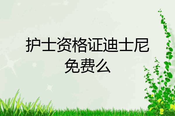 护士资格证迪士尼免费么