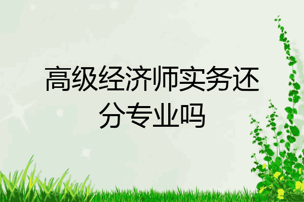 高级经济师实务还分专业吗