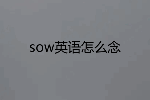 sow英语怎么念
