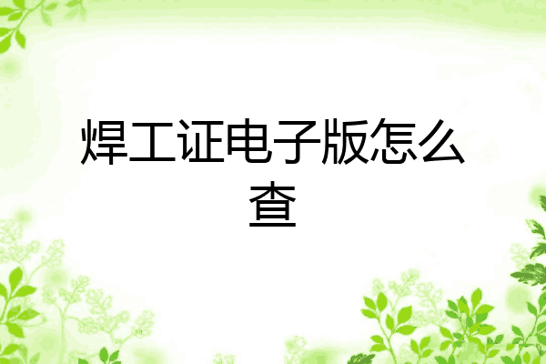 焊工证电子版怎么查