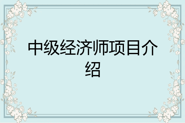 中级经济师项目介绍