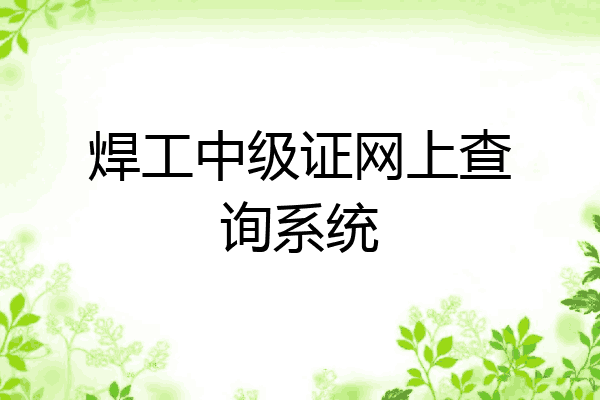焊工中级证网上查询系统