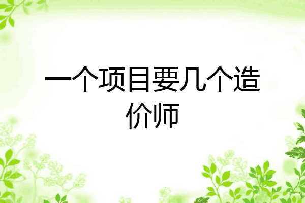 一个项目要几个造价师