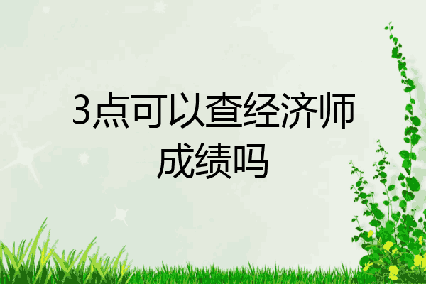 3点可以查经济师成绩吗