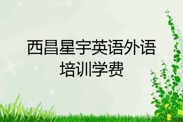 西昌星宇英语外语培训学费