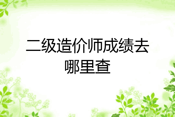 二级造价师成绩去哪里查