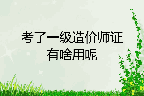 考了一级造价师证有啥用呢