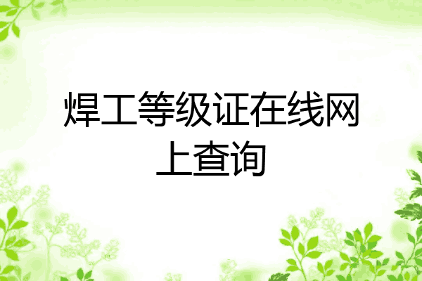 焊工等级证在线网上查询