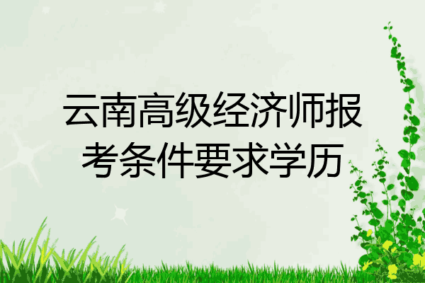 云南高级经济师报考条件要求学历