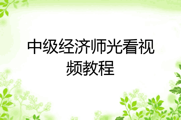 中级经济师光看视频教程