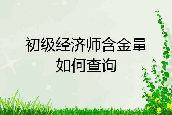 初级经济师含金量如何查询