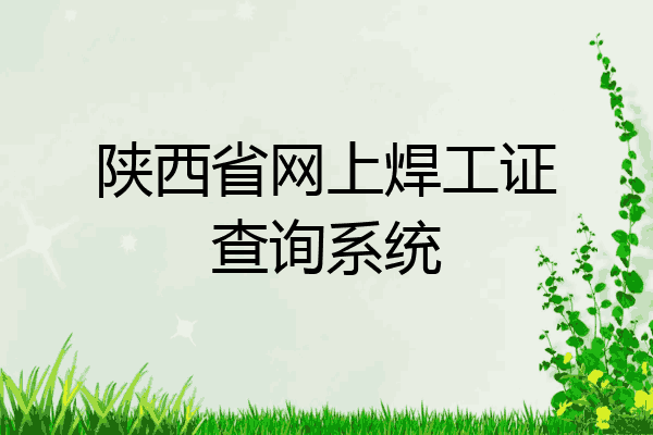 陕西省网上焊工证查询系统