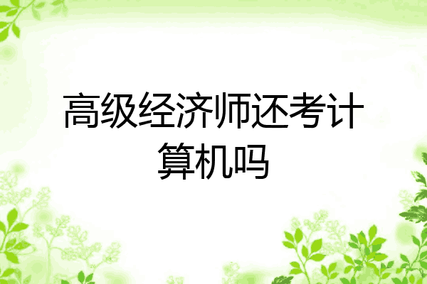 高级经济师还考计算机吗