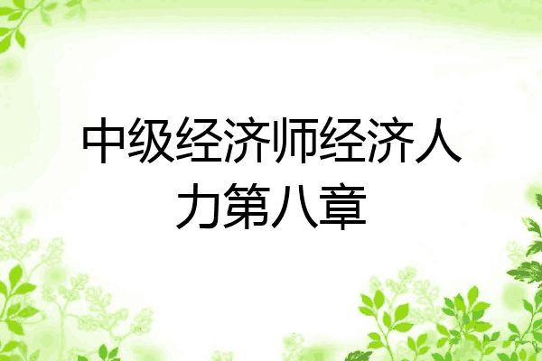 中级经济师经济人力第八章
