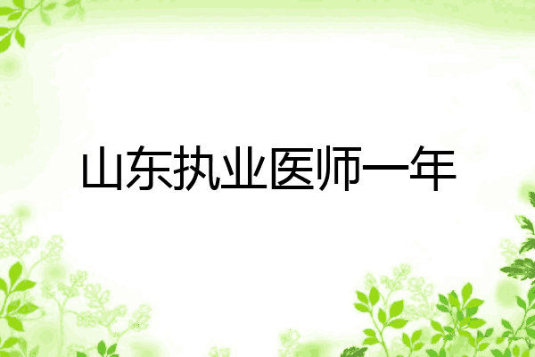 山东执业医师一年
