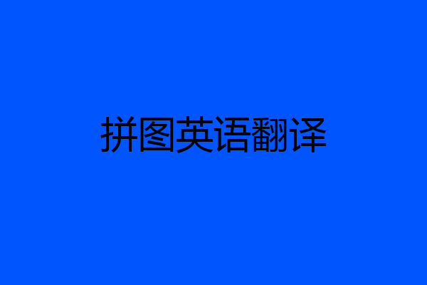 拼图英语翻译