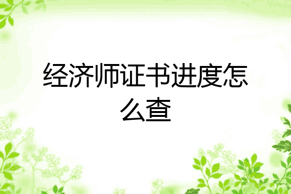 经济师证书进度怎么查