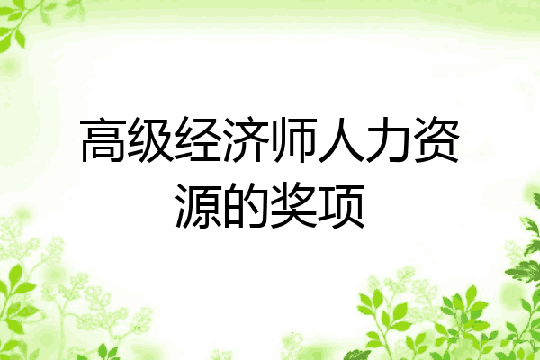 高级经济师人力资源的奖项