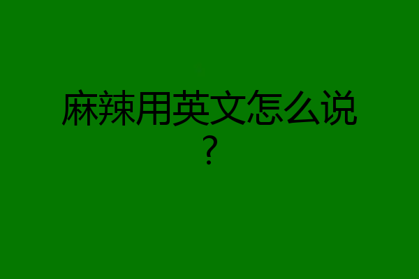 麻辣用英文怎么说?