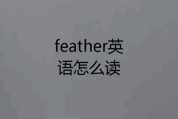 feather英语怎么读