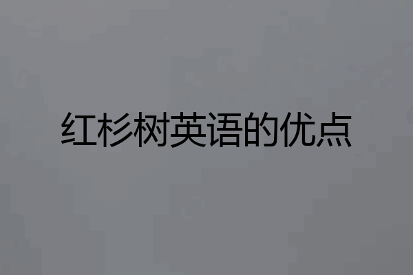 红杉树英语的优点