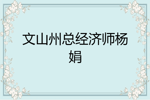 文山州总经济师杨娟