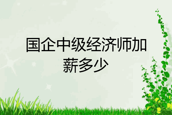国企中级经济师加薪多少