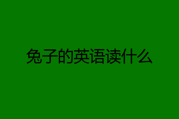 兔子的英语读什么