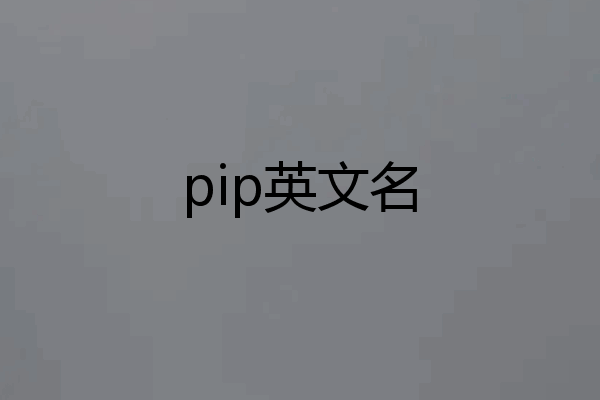 pip英文名