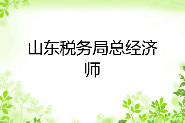 山东税务局总经济师