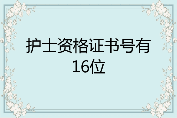 护士资格证书号有16位