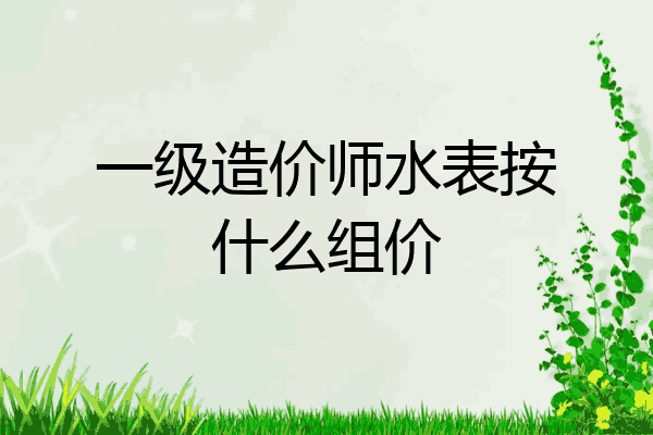 一级造价师水表按什么组价